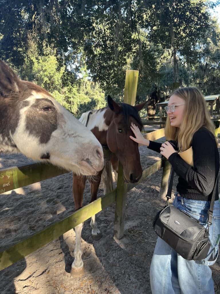girl petting horses over fence.