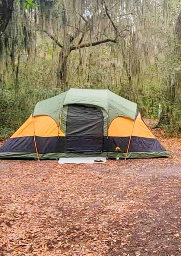 The Ultimate Guide to Jekyll Island Camping (2024)