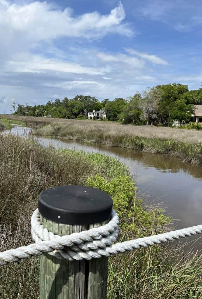 view of marsh from golf cart path. 