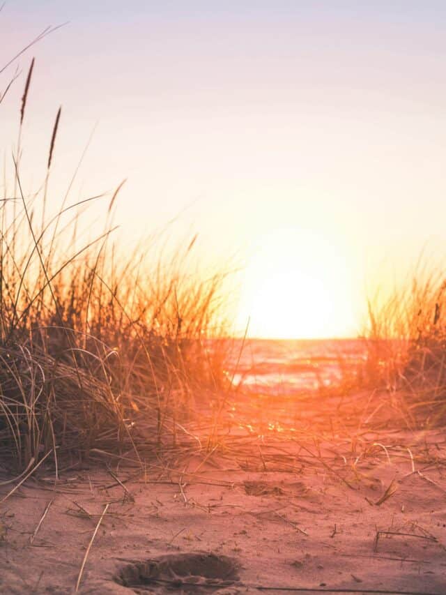 Best Time to Visit Coastal Georgia