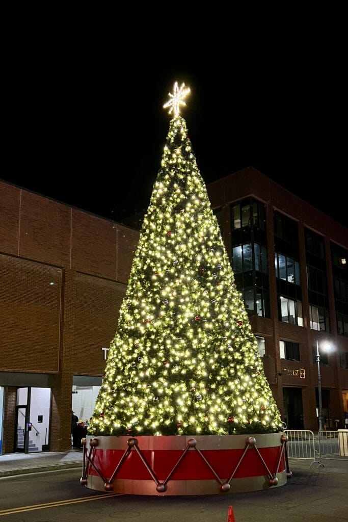 lighted Christmas tree.