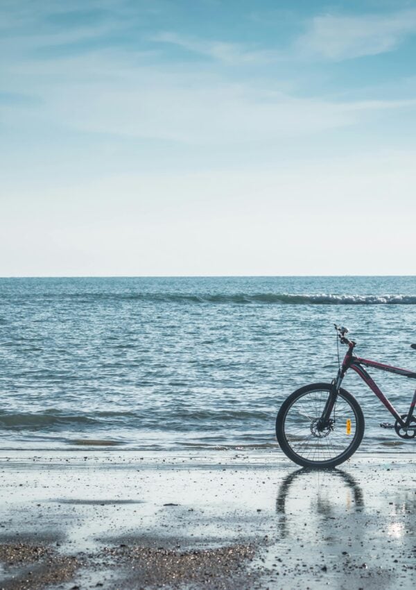 Bike Rental Guide: St. Simons Island
