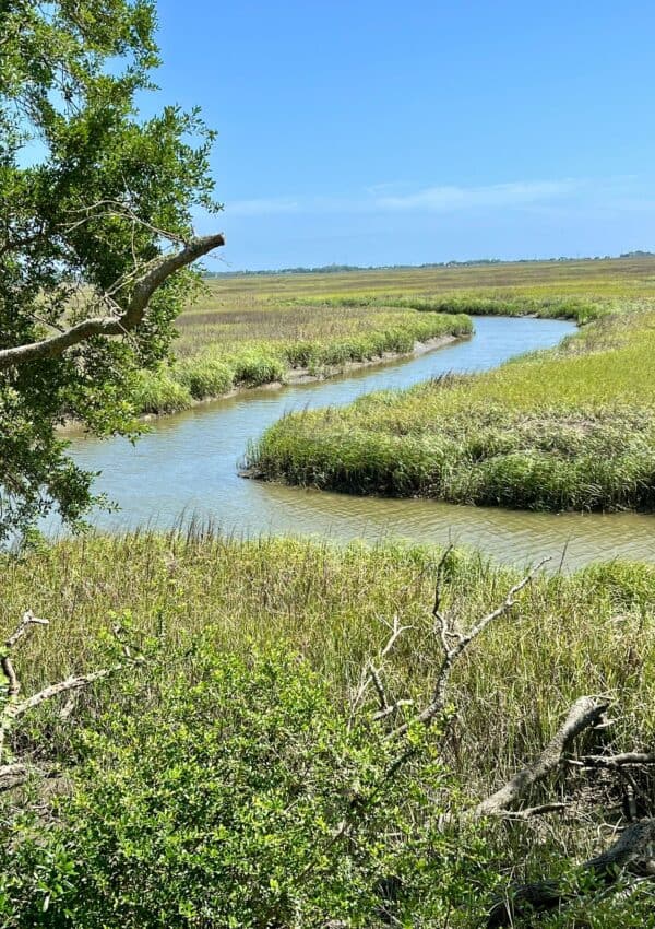 creek running through marsh.