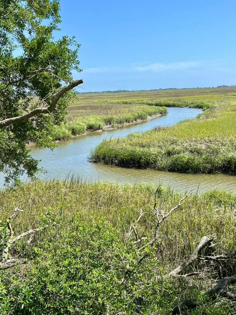 creek running through marsh.