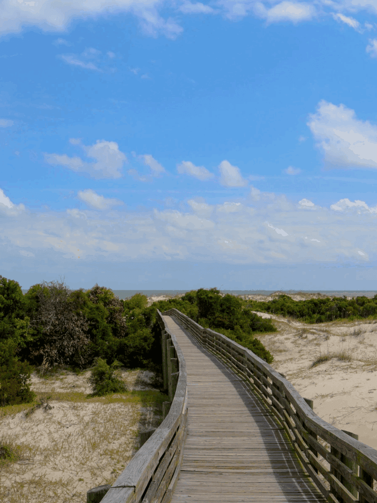 boardwalk to coastal Georgia beach