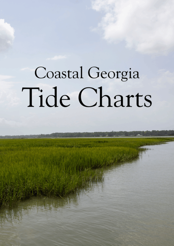Georgia Coast Tide Charts