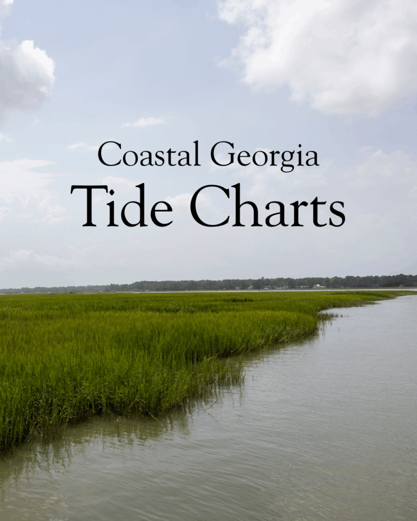 Coastal Georgia Tide Charts