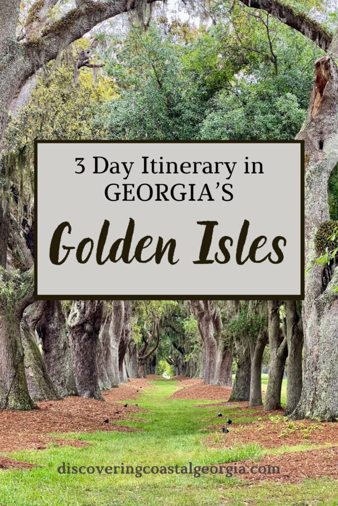 graphic image of 3 day itinerary in golden isles.