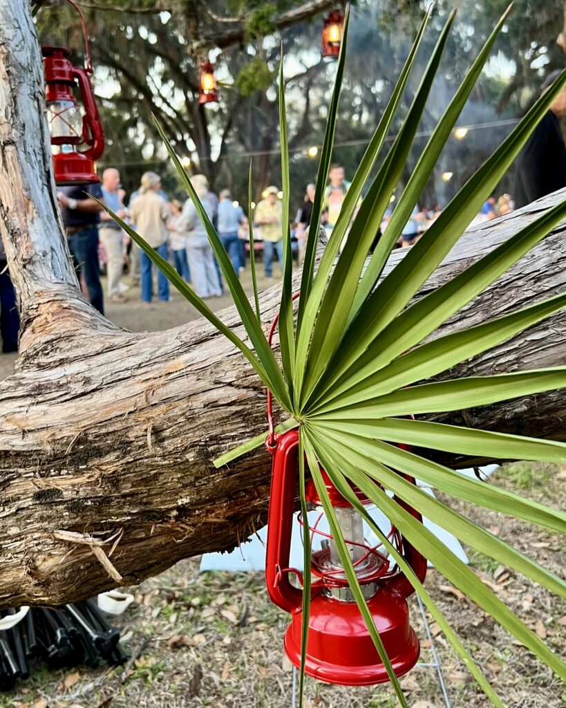 Lantern hanging in tree with palmetto.