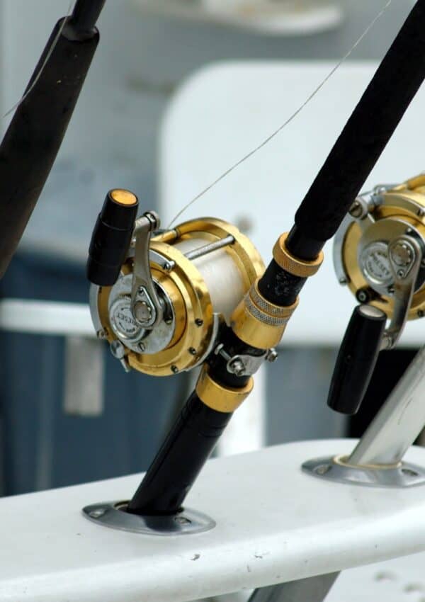 Fishing Charters on St. Simons Island and in the Golden Isles